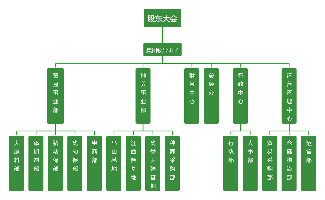 菲賽迪集團架構(gòu)圖